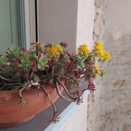 Bed & Breakfast Casa Del Vicolo *