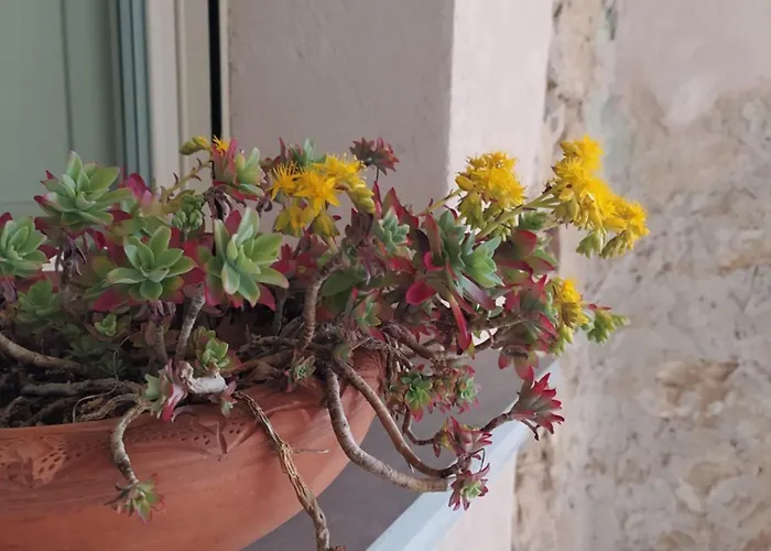 Bed & Breakfast Casa Del Vicolo 3*